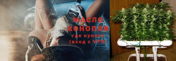 СК Алексин