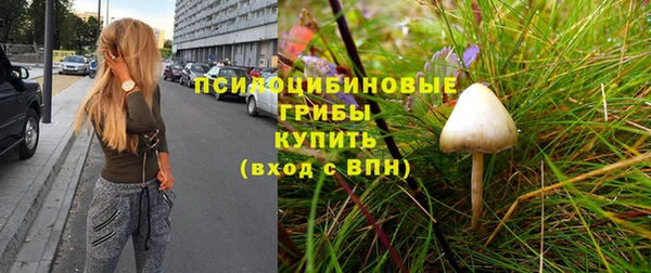СК Алексин