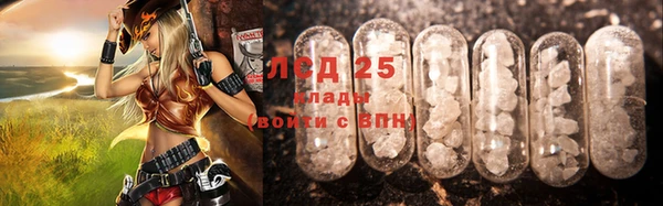 СК Алексин