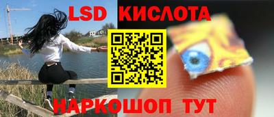 шишки Лесосибирск