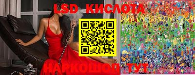 шишки Лесосибирск