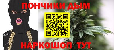 шишки Лесосибирск