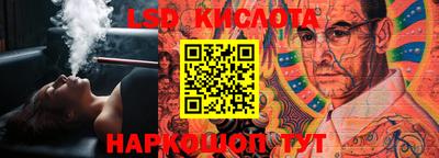 шишки Лесосибирск