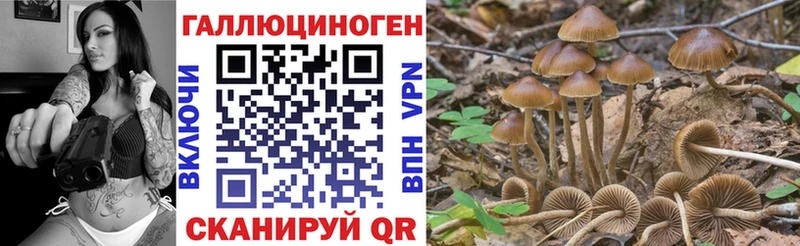 Галлюциногенные грибы MAGIC MUSHROOMS  Кемерово 