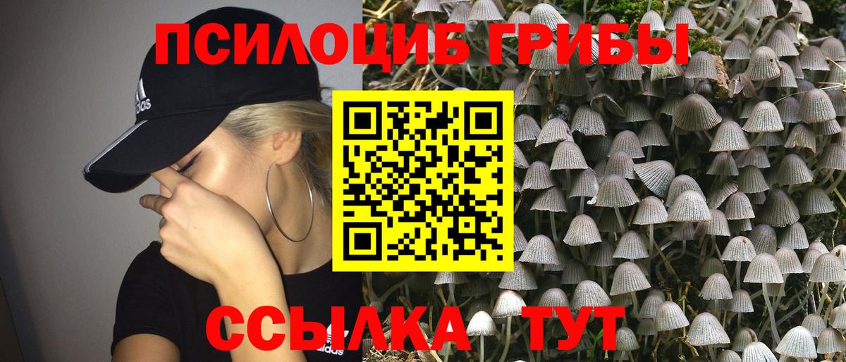 Псилоцибиновые грибы прущие грибы Кемерово