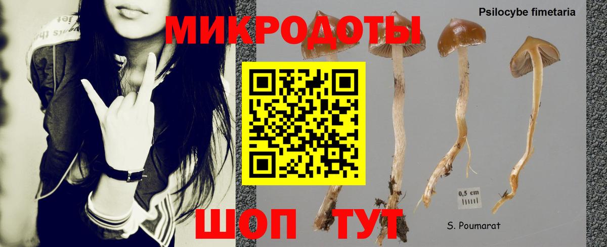 Кемерово  Галлюциногенные грибы MAGIC MUSHROOMS  Галлюциногенные грибы мухоморы  Вход с VPN 